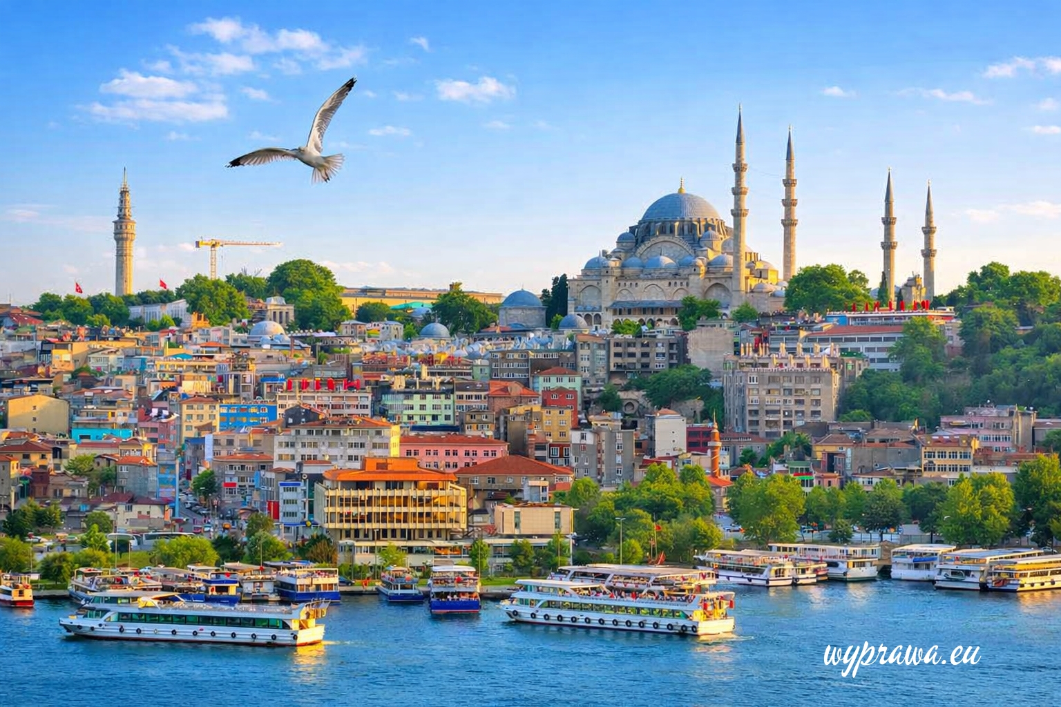  Wyprawy z Zosią - Stambuł i Kapadocja 10 - 17.08.2026 